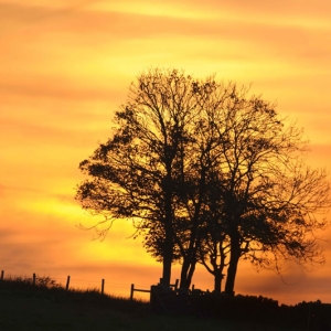 Untitled (37 Of 214).jpg